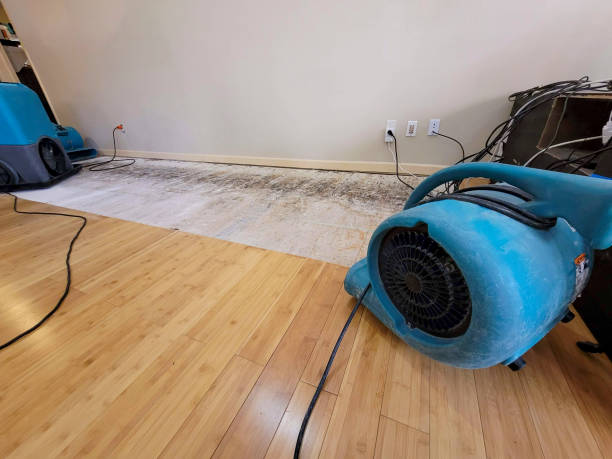 Professional Water Damage Repair technician working in Marion, NC